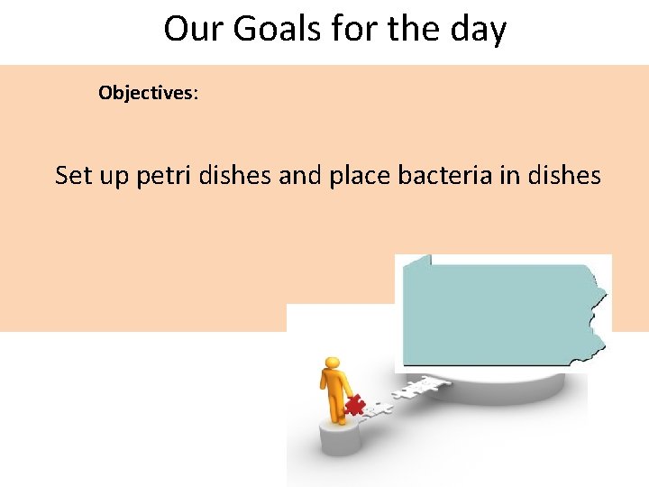 Our Goals for the day Objectives: Set up petri dishes and place bacteria in