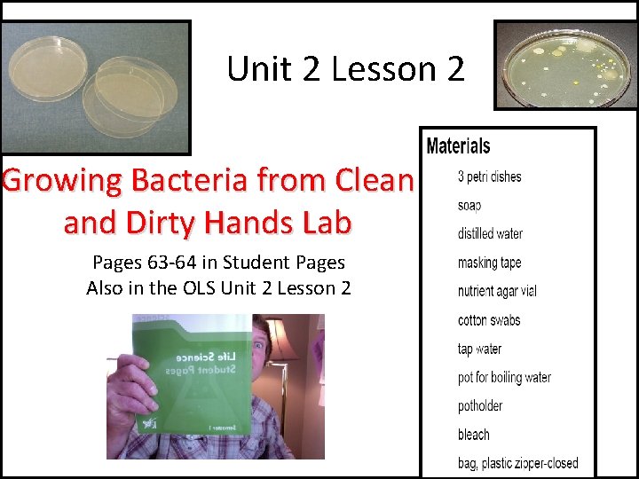 Unit 2 Lesson 2 Growing Bacteria from Clean and Dirty Hands Lab Pages 63