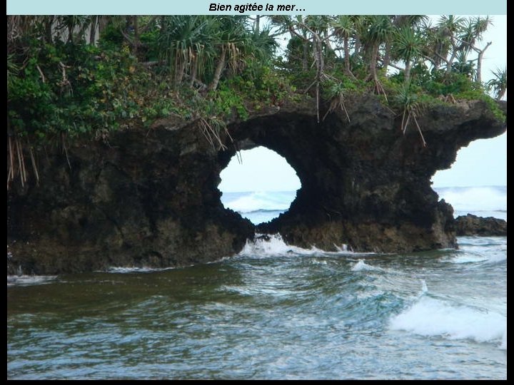 Bien agitée la mer… 