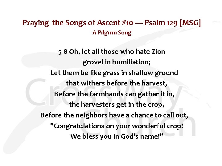 Praying the Songs of Ascent #10 — Psalm 129 [MSG] A Pilgrim Song 5