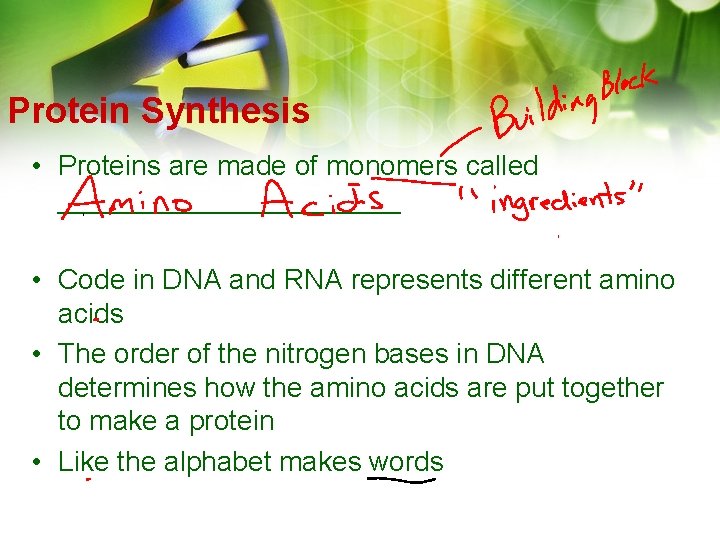 Protein Synthesis • Proteins are made of monomers called ___________ • Code in DNA Protein Synthesis • Proteins are made of monomers called ___________ • Code in DNA