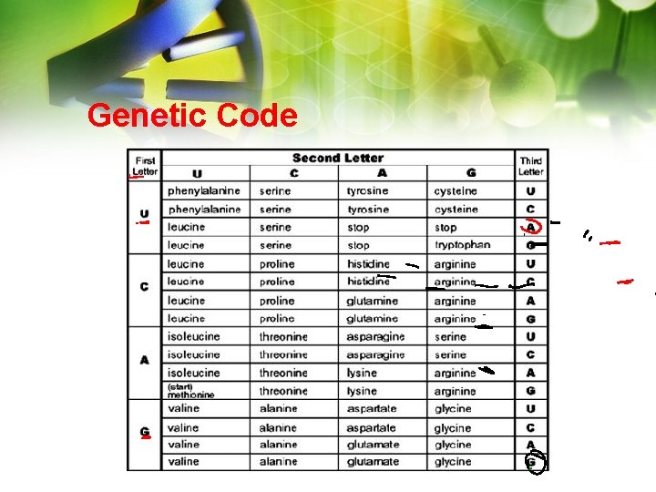 Genetic Code Genetic Code