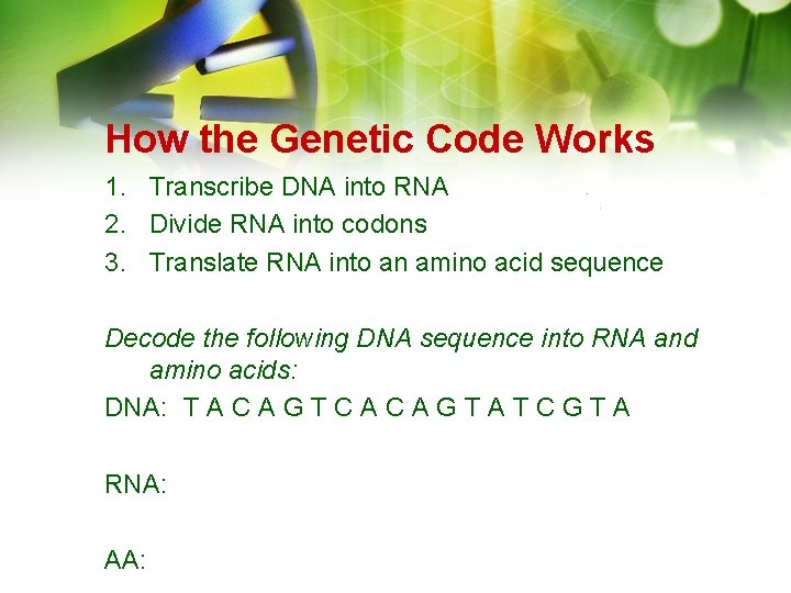 How the Genetic Code Works 1. Transcribe DNA into RNA 2. Divide RNA into How the Genetic Code Works 1. Transcribe DNA into RNA 2. Divide RNA into