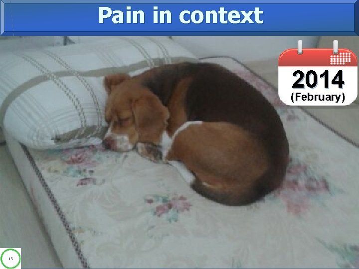 Pain in context 2014 (February) 