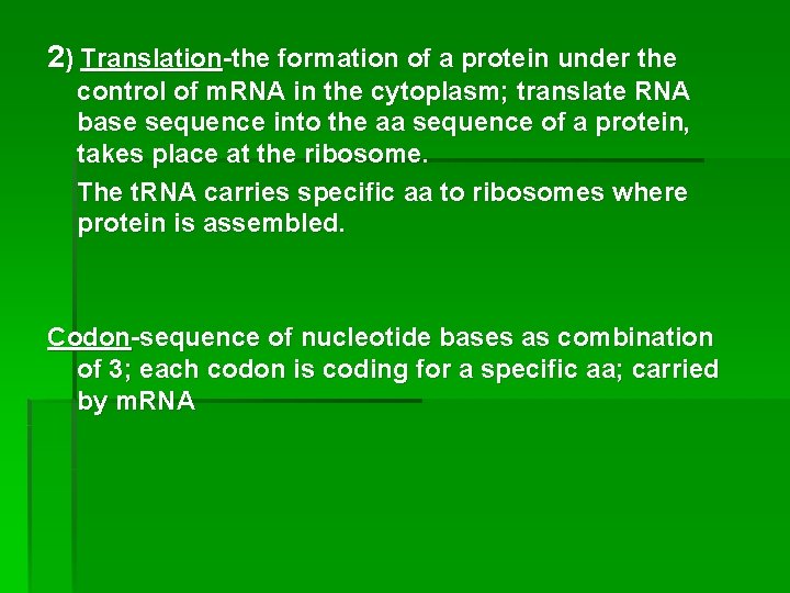 2) Translation-the formation of a protein under the control of m. RNA in the