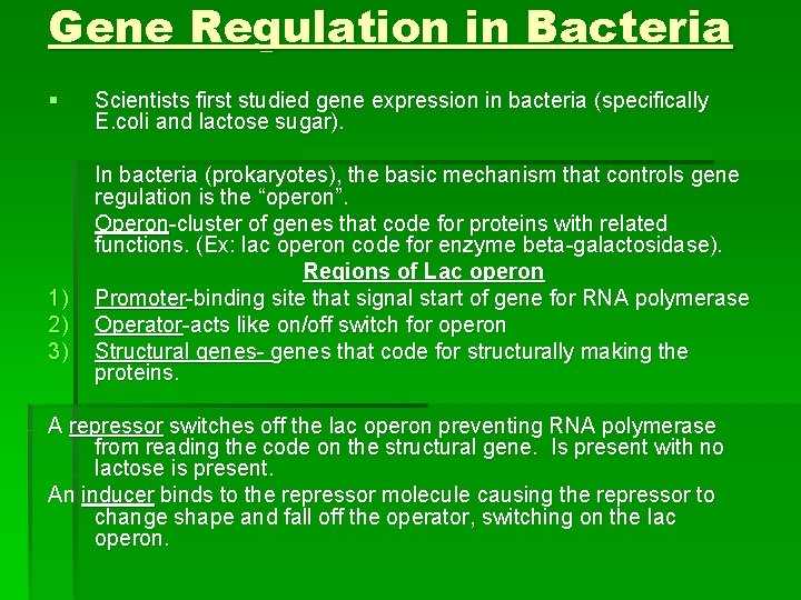 Gene Regulation in Bacteria § 1) 2) 3) Scientists first studied gene expression in