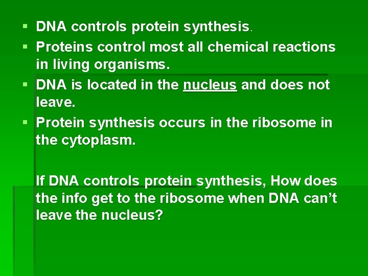 § DNA controls protein synthesis. § Proteins control most all chemical reactions in living