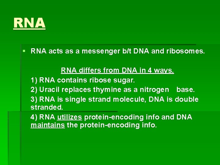 RNA § RNA acts as a messenger b/t DNA and ribosomes. RNA differs from