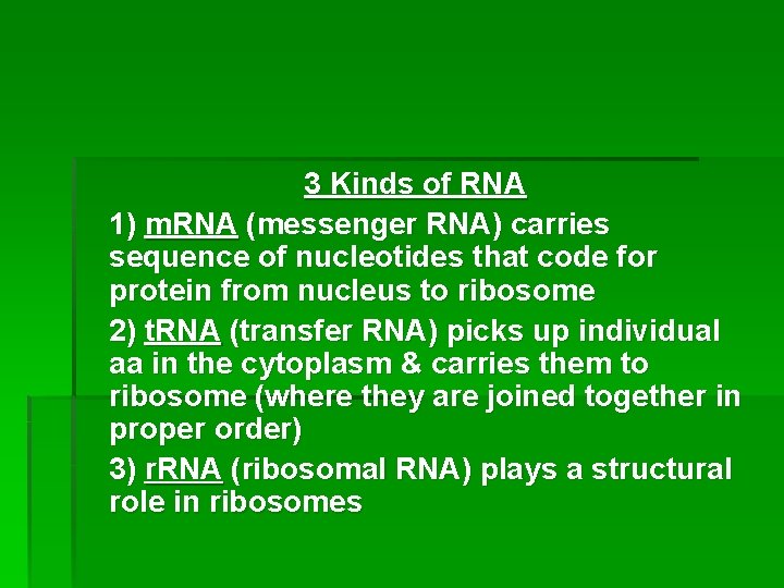 3 Kinds of RNA 1) m. RNA (messenger RNA) carries sequence of nucleotides that