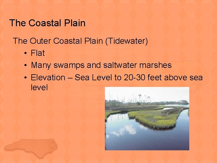 The Coastal Plain The Outer Coastal Plain (Tidewater) • Flat • Many swamps and
