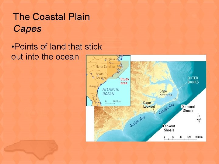 The Coastal Plain Capes • Points of land that stick out into the ocean