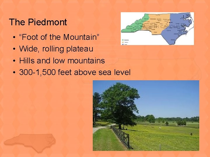The Piedmont • • “Foot of the Mountain” Wide, rolling plateau Hills and low