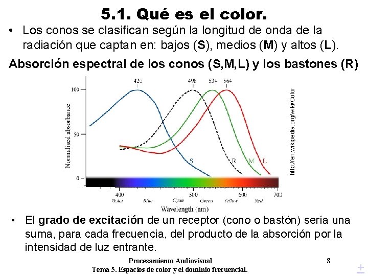 5. 1. Qué es el color. • Los conos se clasifican según la longitud