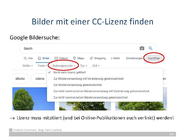 Bilder mit einer CC-Lizenz finden Google Bildersuche: ® Lizenz muss mitzitiert (und bei Online-Publikationen