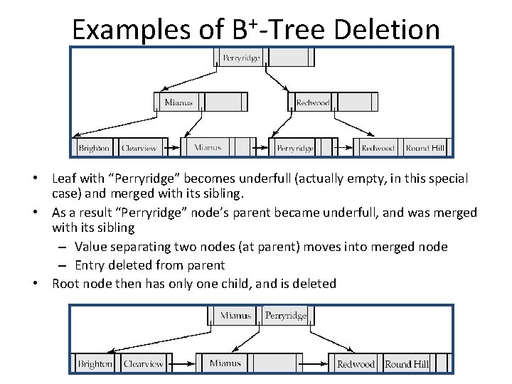 Examples of B+-Tree Deletion (Cont. ) • Leaf with “Perryridge” becomes underfull (actually empty,