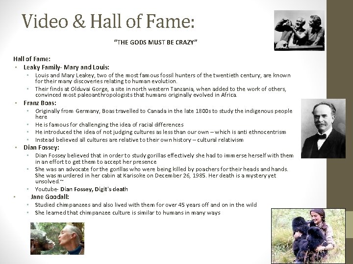 Video & Hall of Fame: “THE GODS MUST BE CRAZY” Hall of Fame: •
