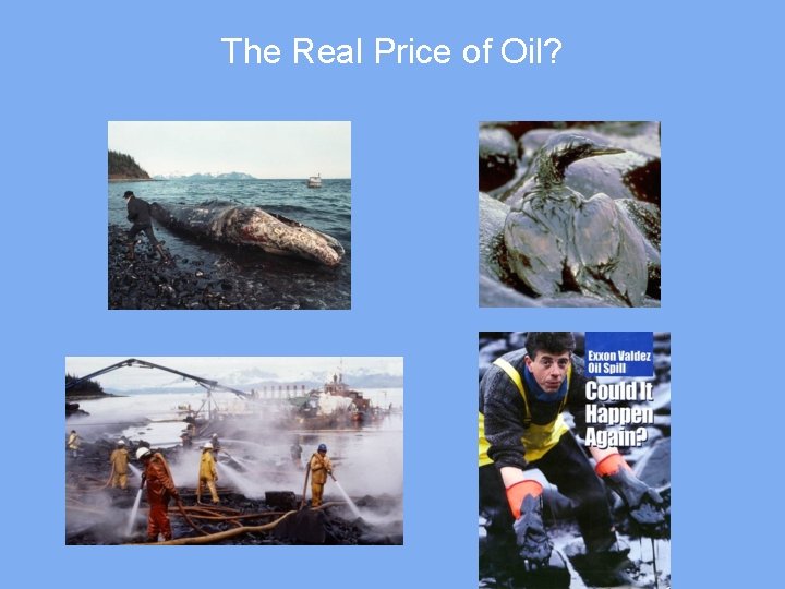 The Real Price of Oil? 