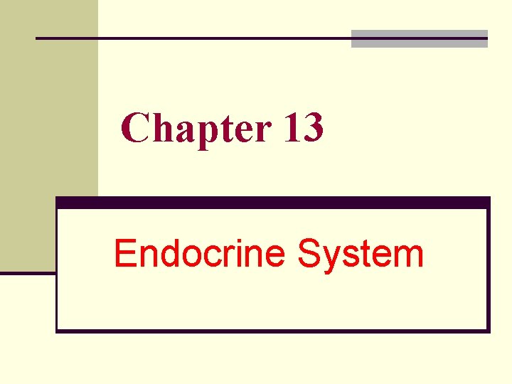 Chapter 13 Endocrine System 