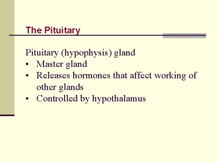 The Pituitary (hypophysis) gland • Master gland • Releases hormones that affect working of