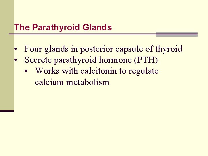 The Parathyroid Glands • Four glands in posterior capsule of thyroid • Secrete parathyroid