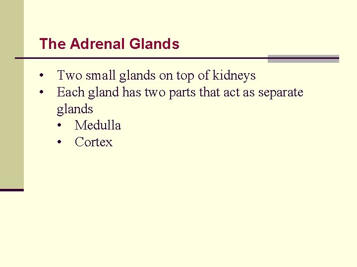 The Adrenal Glands • Two small glands on top of kidneys • Each gland