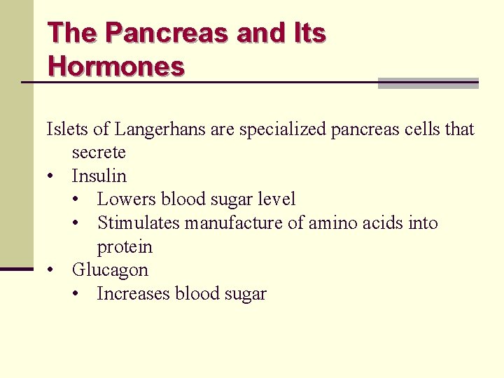 The Pancreas and Its Hormones Islets of Langerhans are specialized pancreas cells that secrete