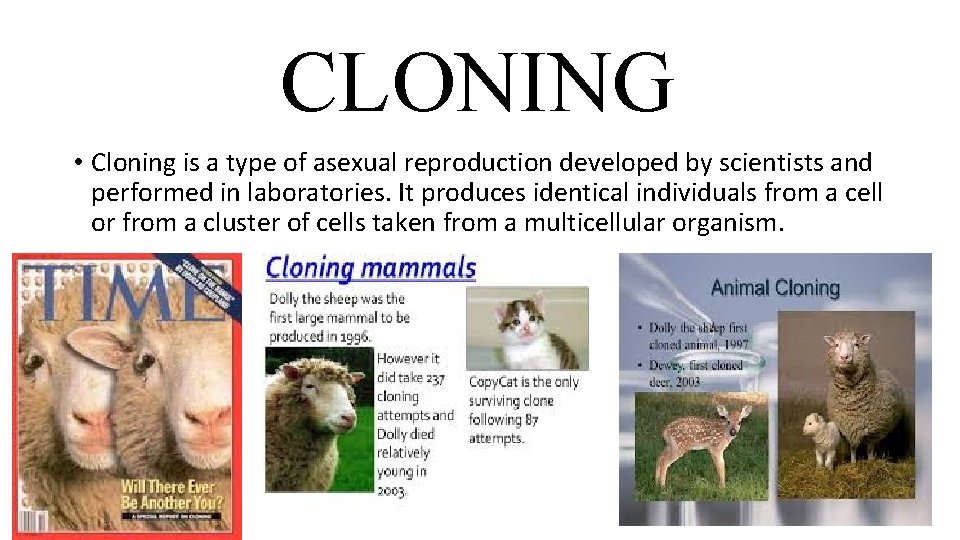 CLONING • Cloning is a type of asexual reproduction developed by scientists and performed