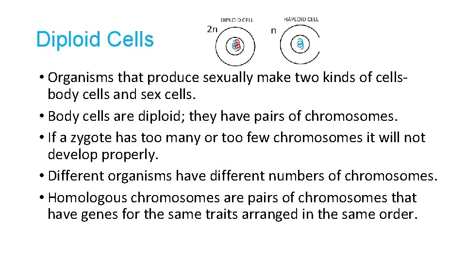 Diploid Cells • Organisms that produce sexually make two kinds of cellsbody cells and