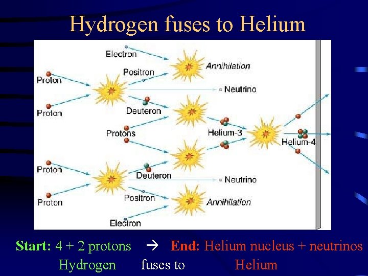 Hydrogen fuses to Helium Start: 4 + 2 protons End: Helium nucleus + neutrinos