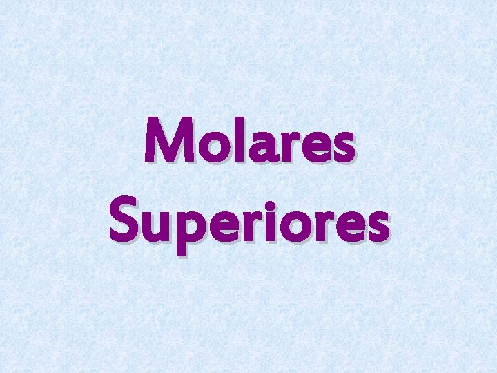 Molares Superiores 