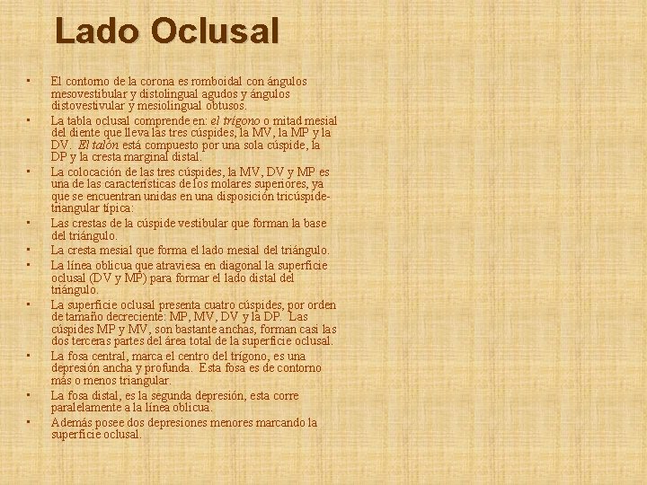 Lado Oclusal • • • El contorno de la corona es romboidal con ángulos