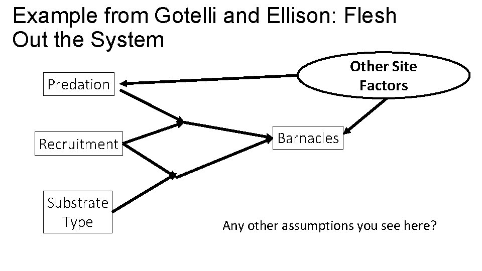 Example from Gotelli and Ellison: Flesh Out the System Other Site Factors Predation Recruitment
