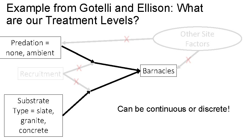 Example from Gotelli and Ellison: What are our Treatment Levels? x Predation = none,