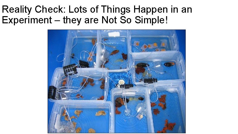 Reality Check: Lots of Things Happen in an Experiment – they are Not So