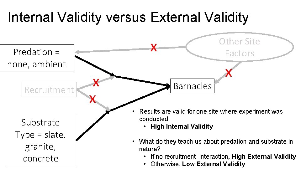 Internal Validity versus External Validity x Predation = none, ambient Recruitment Substrate Type =
