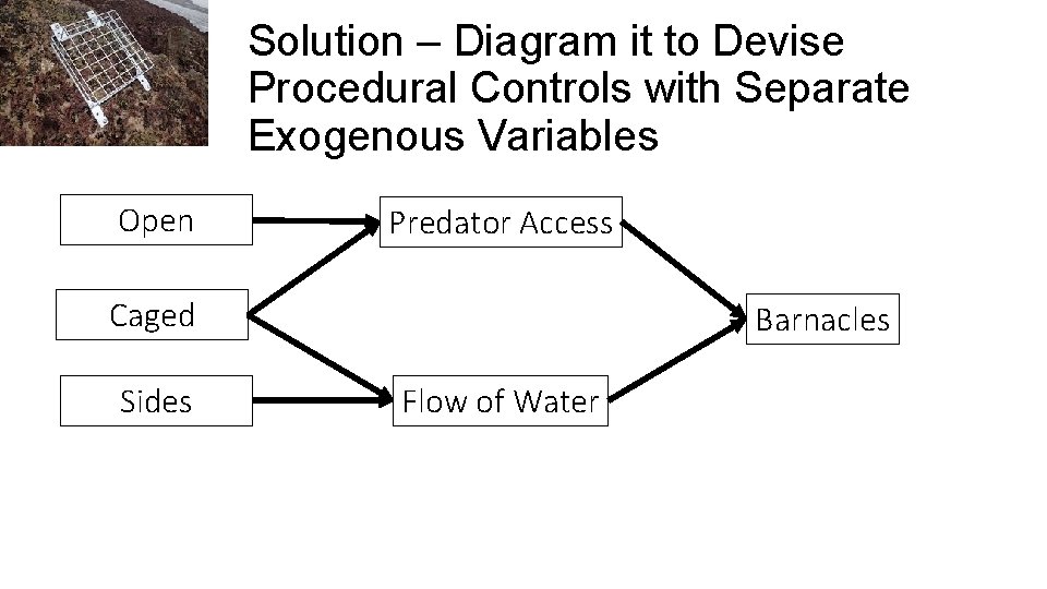 Solution – Diagram it to Devise Procedural Controls with Separate Exogenous Variables Open Predator
