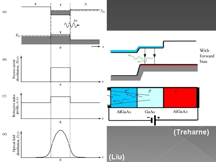 (Treharne) (Liu) (Treharne) (Liu)