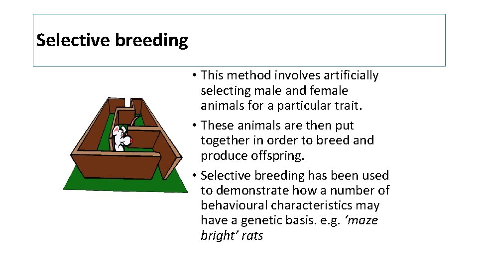 Selective breeding • This method involves artificially selecting male and female animals for a Selective breeding • This method involves artificially selecting male and female animals for a
