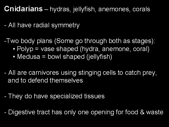 Cnidarians – hydras, jellyfish, anemones, corals - All have radial symmetry -Two body plans