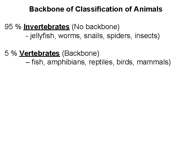 Backbone of Classification of Animals 95 % Invertebrates (No backbone) - jellyfish, worms, snails,