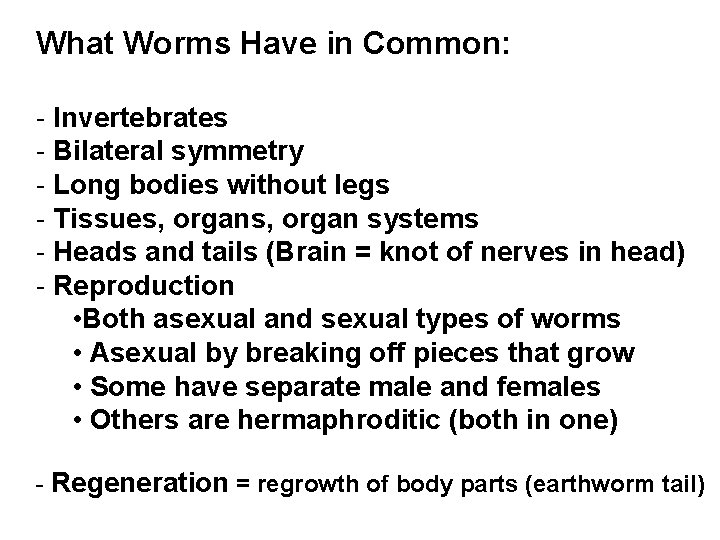 What Worms Have in Common: - Invertebrates - Bilateral symmetry - Long bodies without