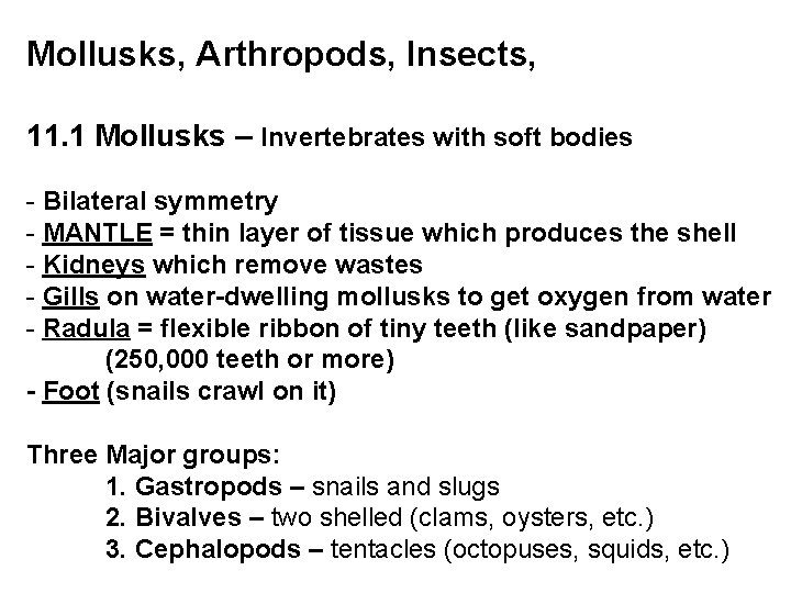 Mollusks, Arthropods, Insects, 11. 1 Mollusks – Invertebrates with soft bodies - Bilateral symmetry