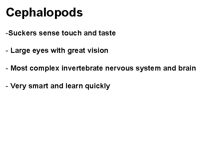 Cephalopods -Suckers sense touch and taste - Large eyes with great vision - Most