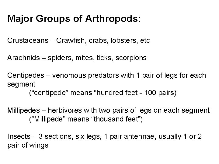 Major Groups of Arthropods: Crustaceans – Crawfish, crabs, lobsters, etc Arachnids – spiders, mites,
