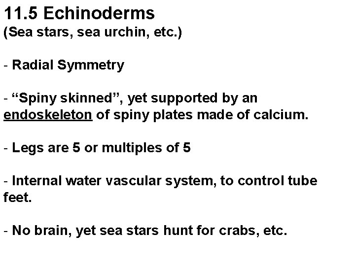 11. 5 Echinoderms (Sea stars, sea urchin, etc. ) - Radial Symmetry - “Spiny