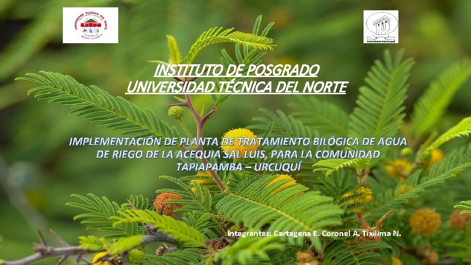 INSTITUTO DE POSGRADO UNIVERSIDAD TÉCNICA DEL NORTE IMPLEMENTACIÓN DE PLANTA DE TRATAMIENTO BILÓGICA DE