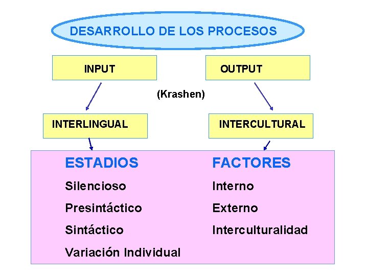 DESARROLLO DE LOS PROCESOS INPUT OUTPUT (Krashen) INTERLINGUAL INTERCULTURAL ESTADIOS FACTORES Silencioso Interno Presintáctico