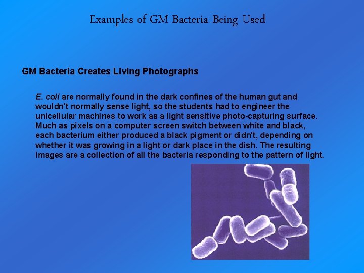 Examples of GM Bacteria Being Used GM Bacteria Creates Living Photographs E. coli are