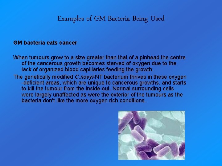 Examples of GM Bacteria Being Used GM bacteria eats cancer When tumours grow to