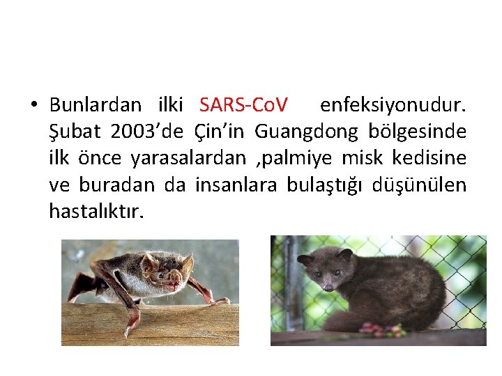  • Bunlardan ilki SARS-Co. V enfeksiyonudur. Şubat 2003’de Çin’in Guangdong bölgesinde ilk önce